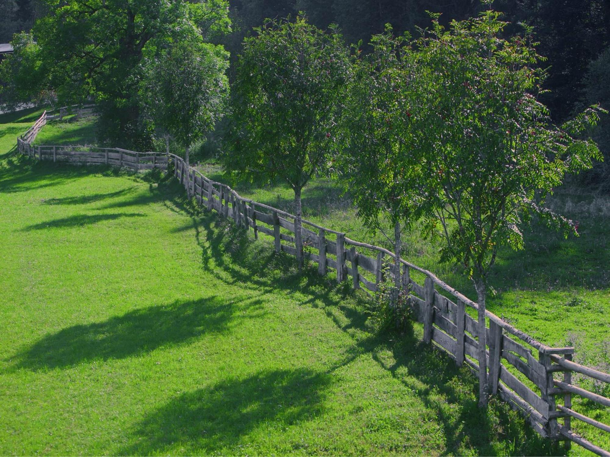 Charming Holiday Home In H Ttau With Barbecue Hüttau Zewnętrze zdjęcie